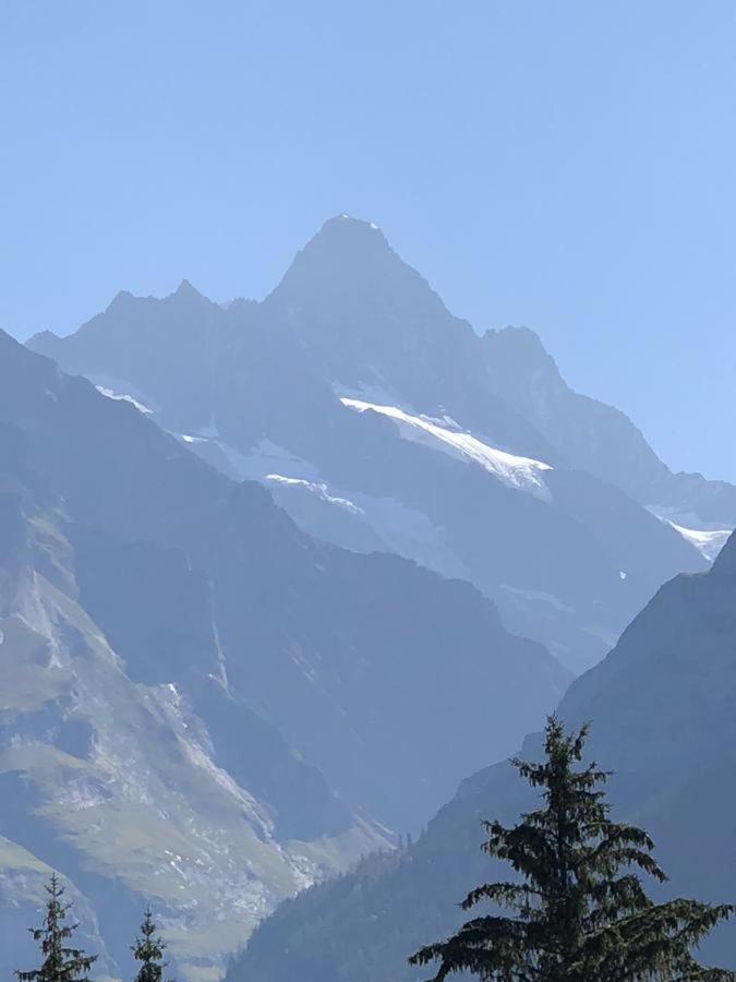Romantisches Plaetzchen In Der Natur Grindelwald Exterior foto