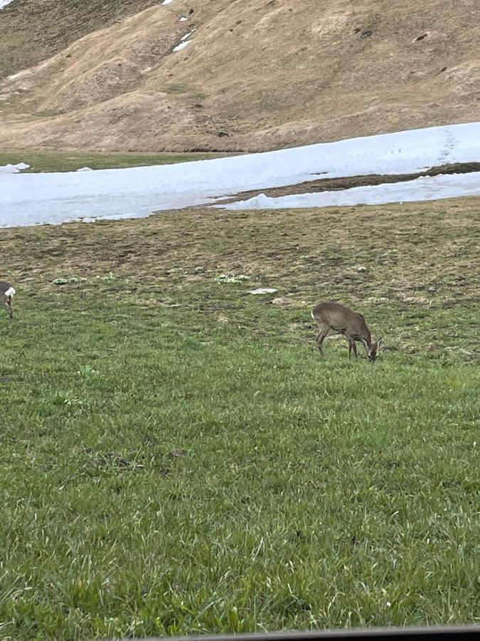 Romantisches Plaetzchen In Der Natur Grindelwald Exterior foto