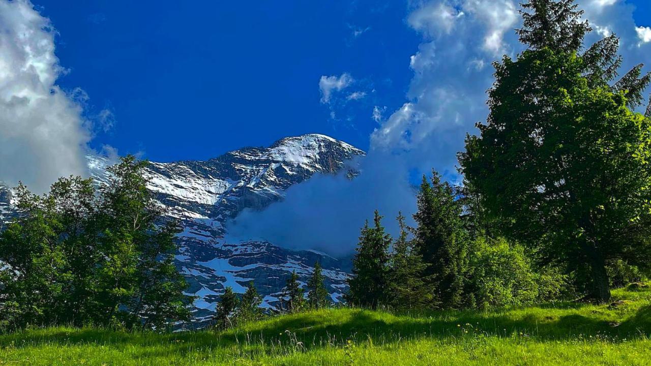 Romantisches Plaetzchen In Der Natur Grindelwald Exterior foto