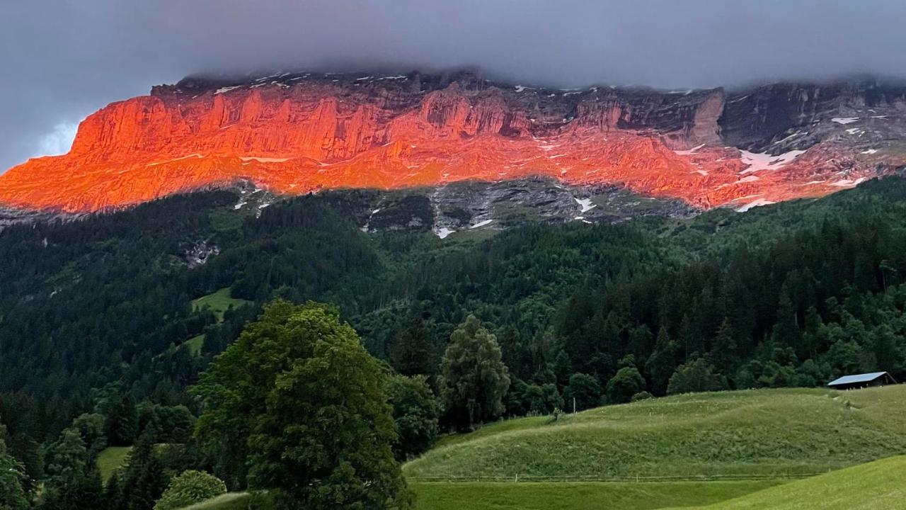 Romantisches Plaetzchen In Der Natur Grindelwald Exterior foto