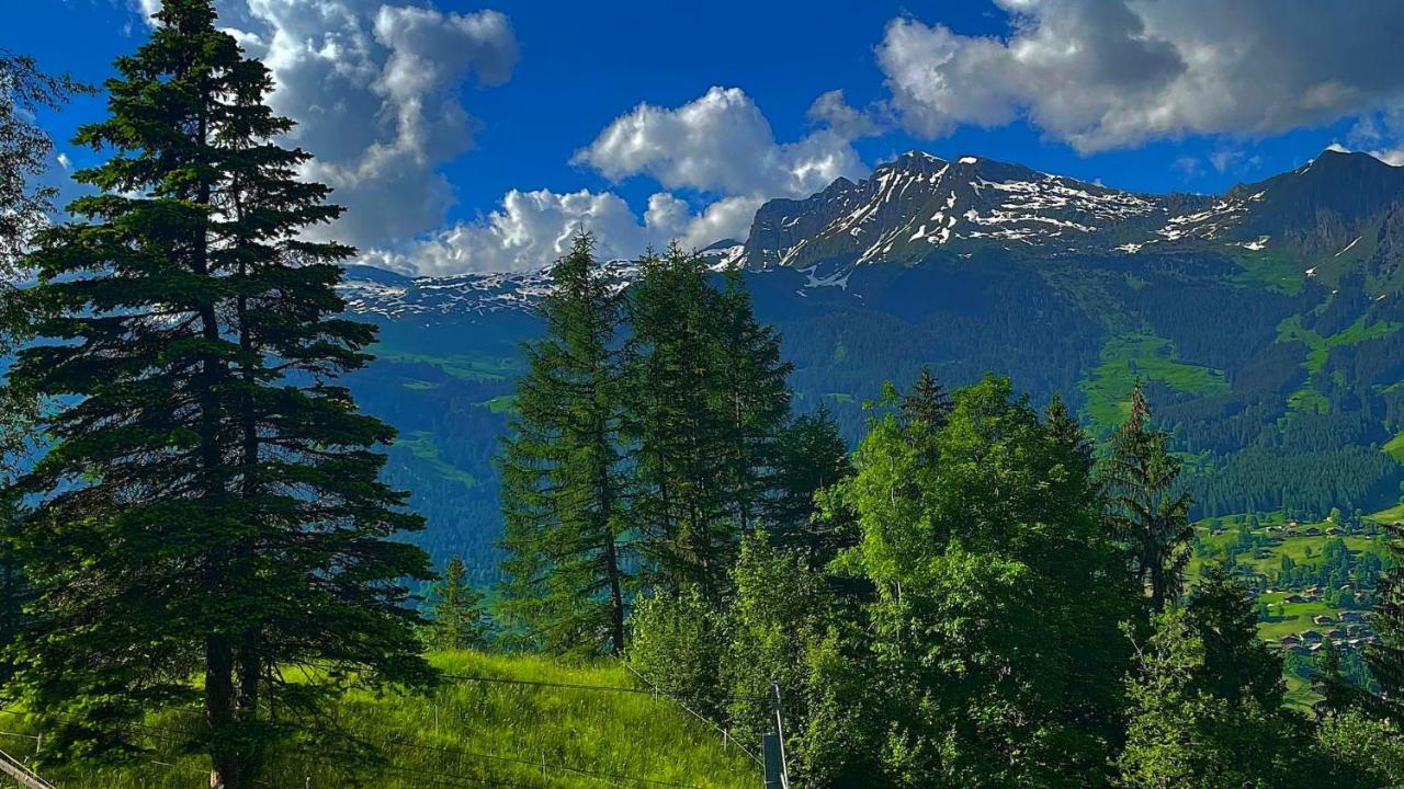 Romantisches Plaetzchen In Der Natur Grindelwald Exterior foto