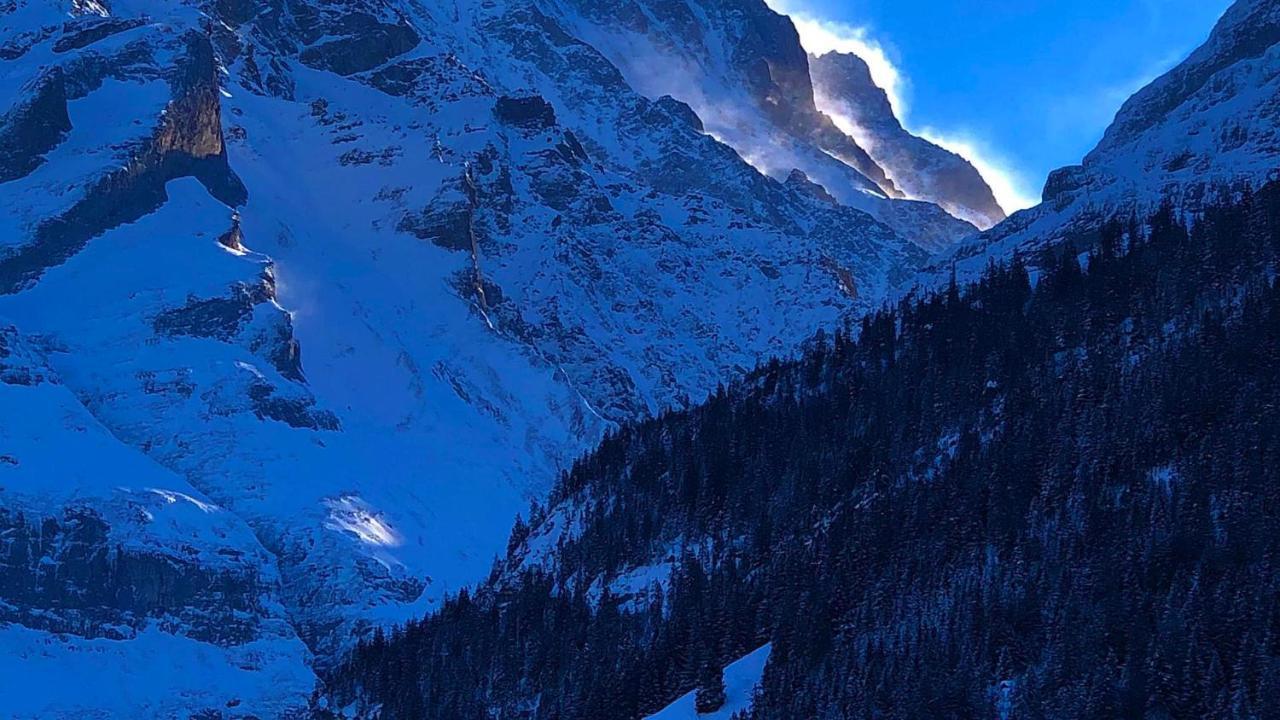 Romantisches Plaetzchen In Der Natur Grindelwald Exterior foto