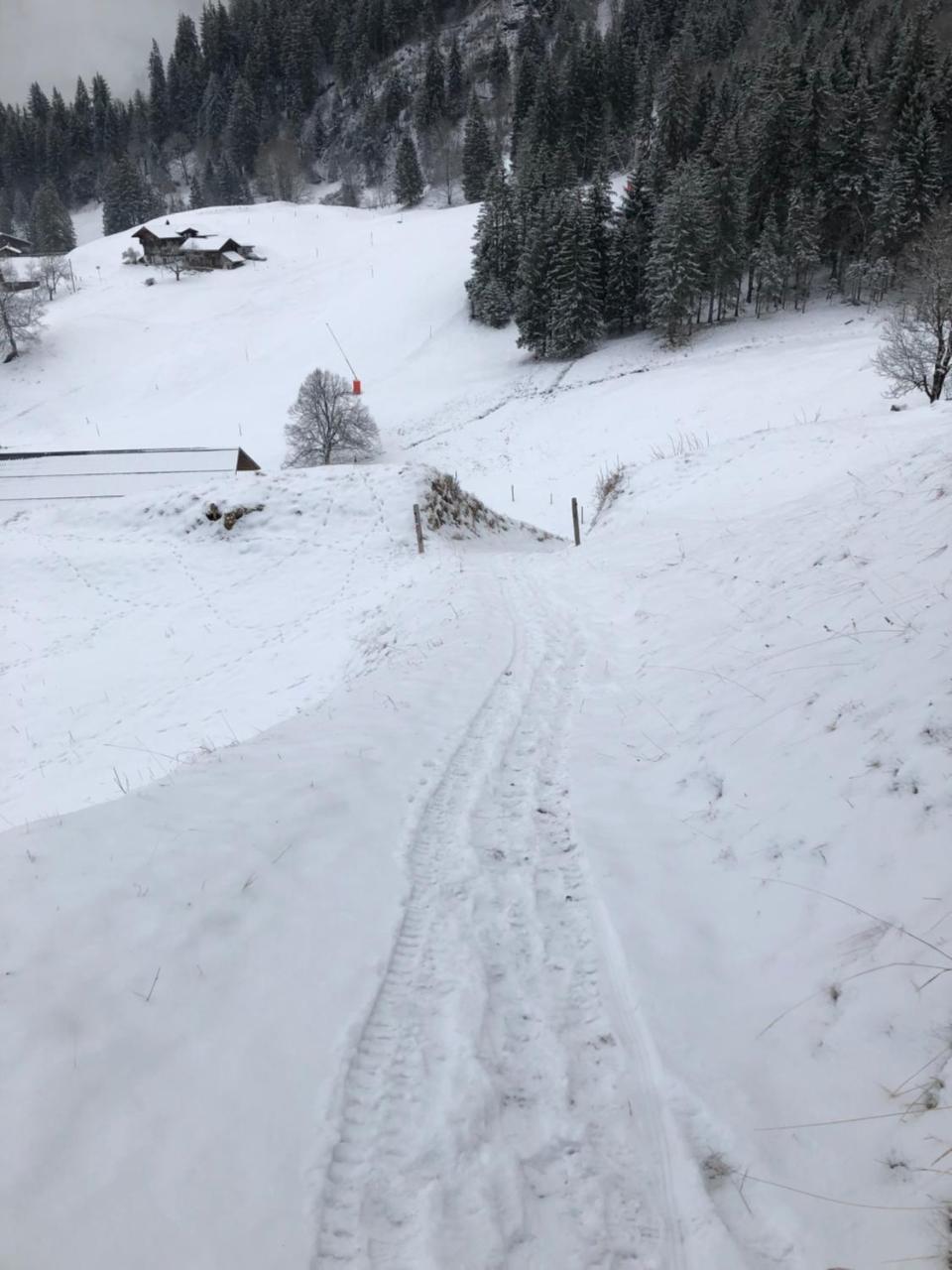 Romantisches Plaetzchen In Der Natur Grindelwald Exterior foto