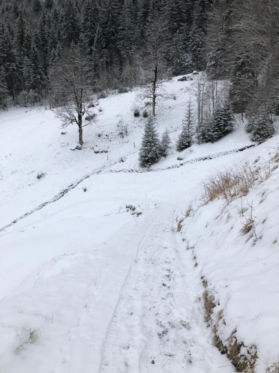 Romantisches Plaetzchen In Der Natur Grindelwald Exterior foto